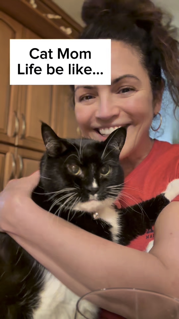 A vida da mãe gata é assim