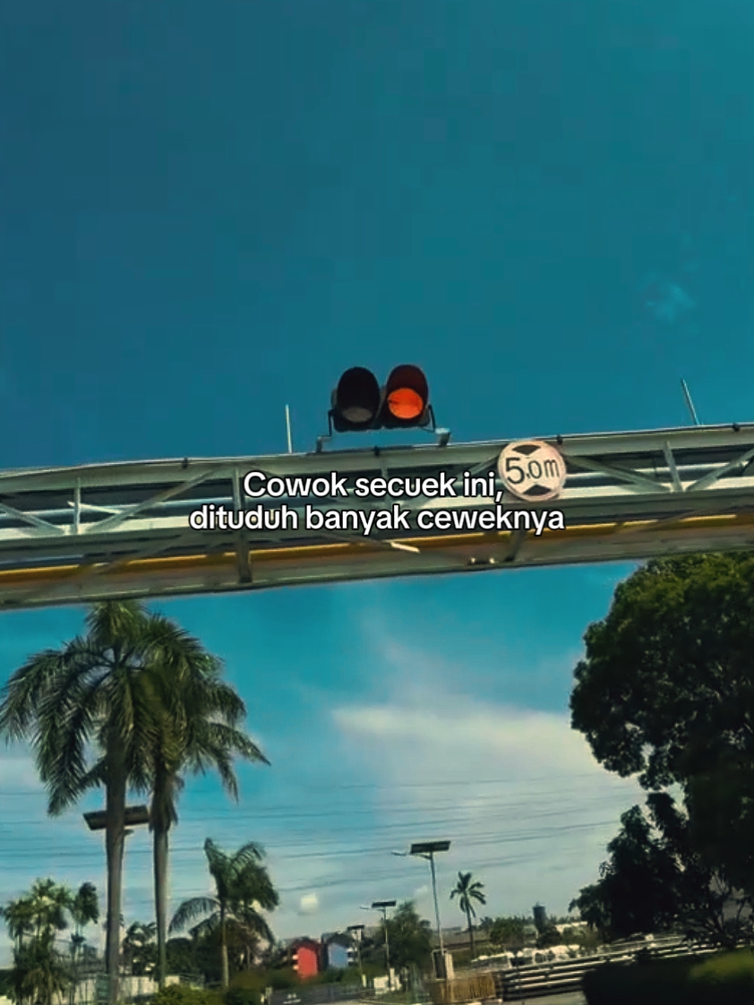 Fotolive y palabras 