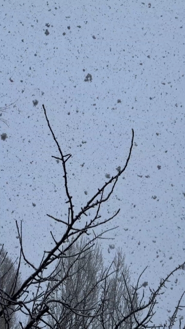 MODELO DE NEVE