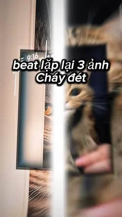 Mẫu lặp lại 3 ảnh