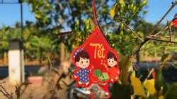 Vlog Tết 16:9