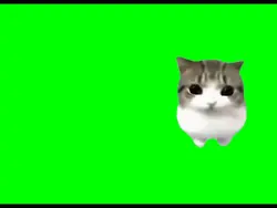 猫のやつ