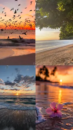 collage