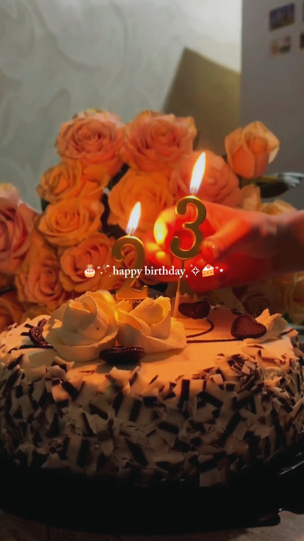 Vlog de aniversário