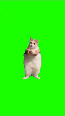 Dancing Cat🐈🐱