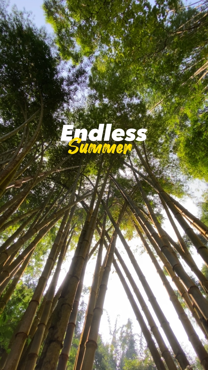 Endloser Sommerfyp✨