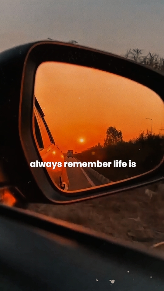 La vie est comme un livre 