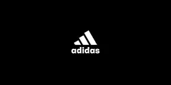 Opening your logo