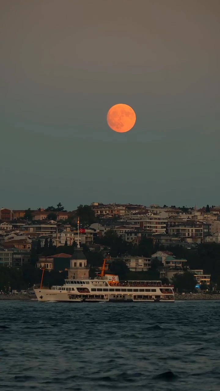 TÜRK ESTETİK 