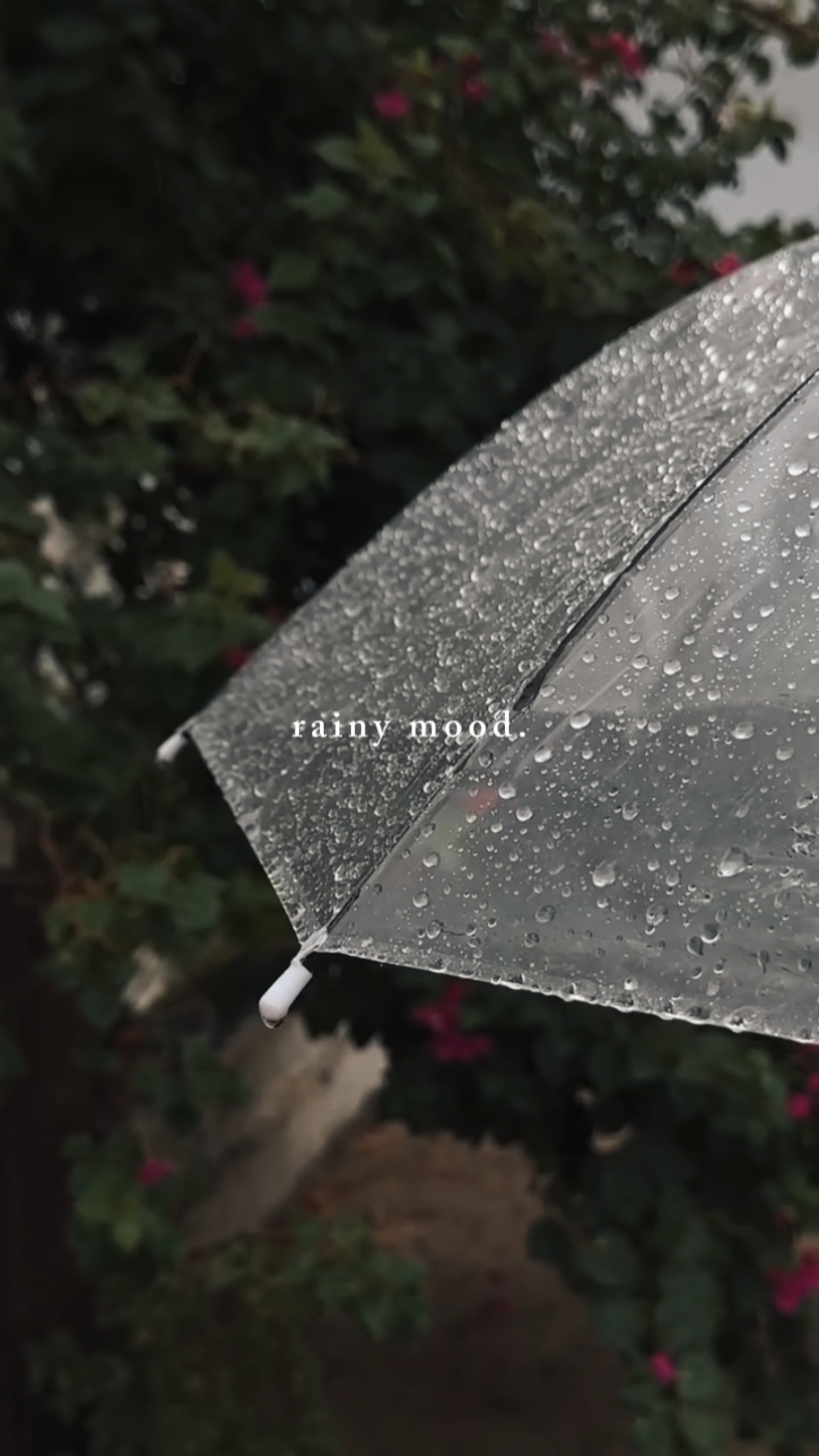 rainy mood 
