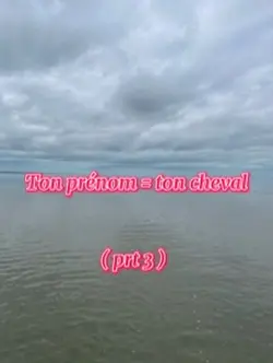 Ton nom ton cheval 3