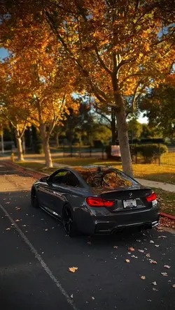 < BMW — CAR EDIT 🔥>