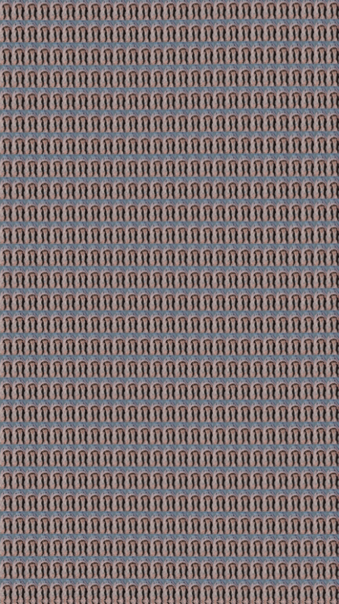 1장 사진 = 1000사진