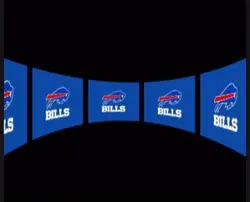 bills and lions