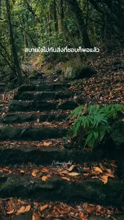 ทัศนคติ