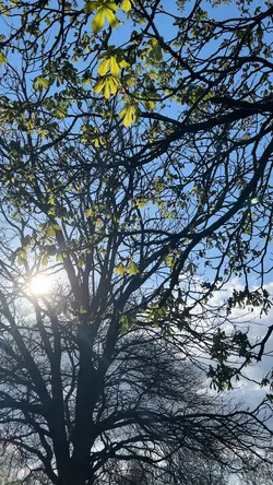 Summer in the air