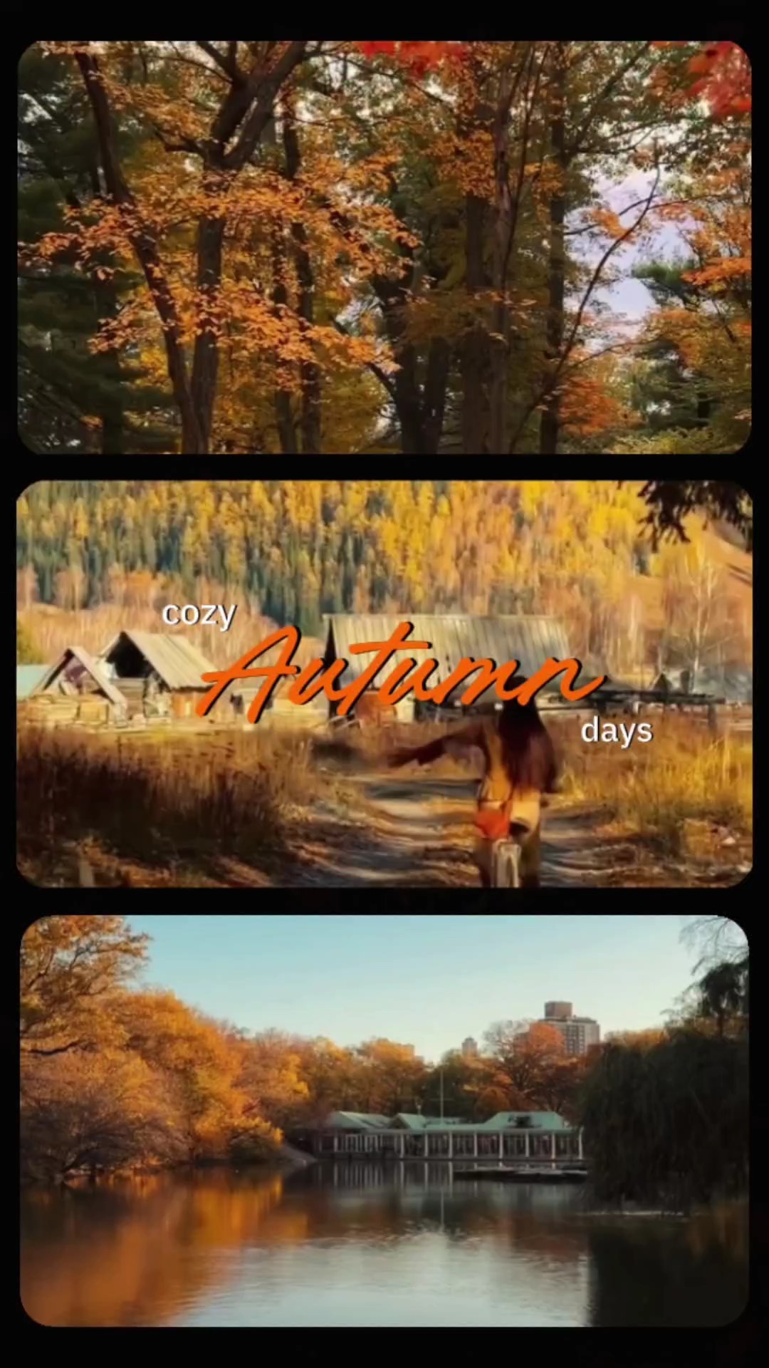 cozy autumn days