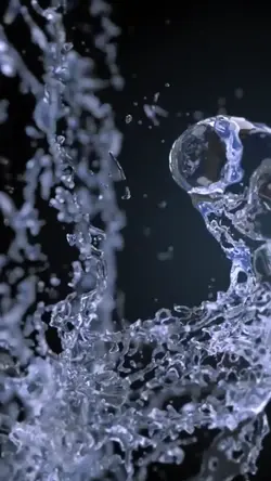 Water Reveal
