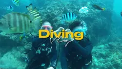 Diving Vlog