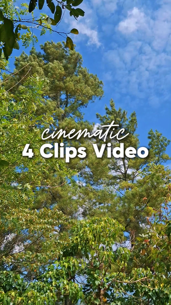 4 Vídeo Cinematográfico