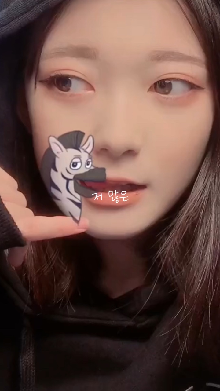 틱톡 영상에 올리기 딱 좋은 템플릿