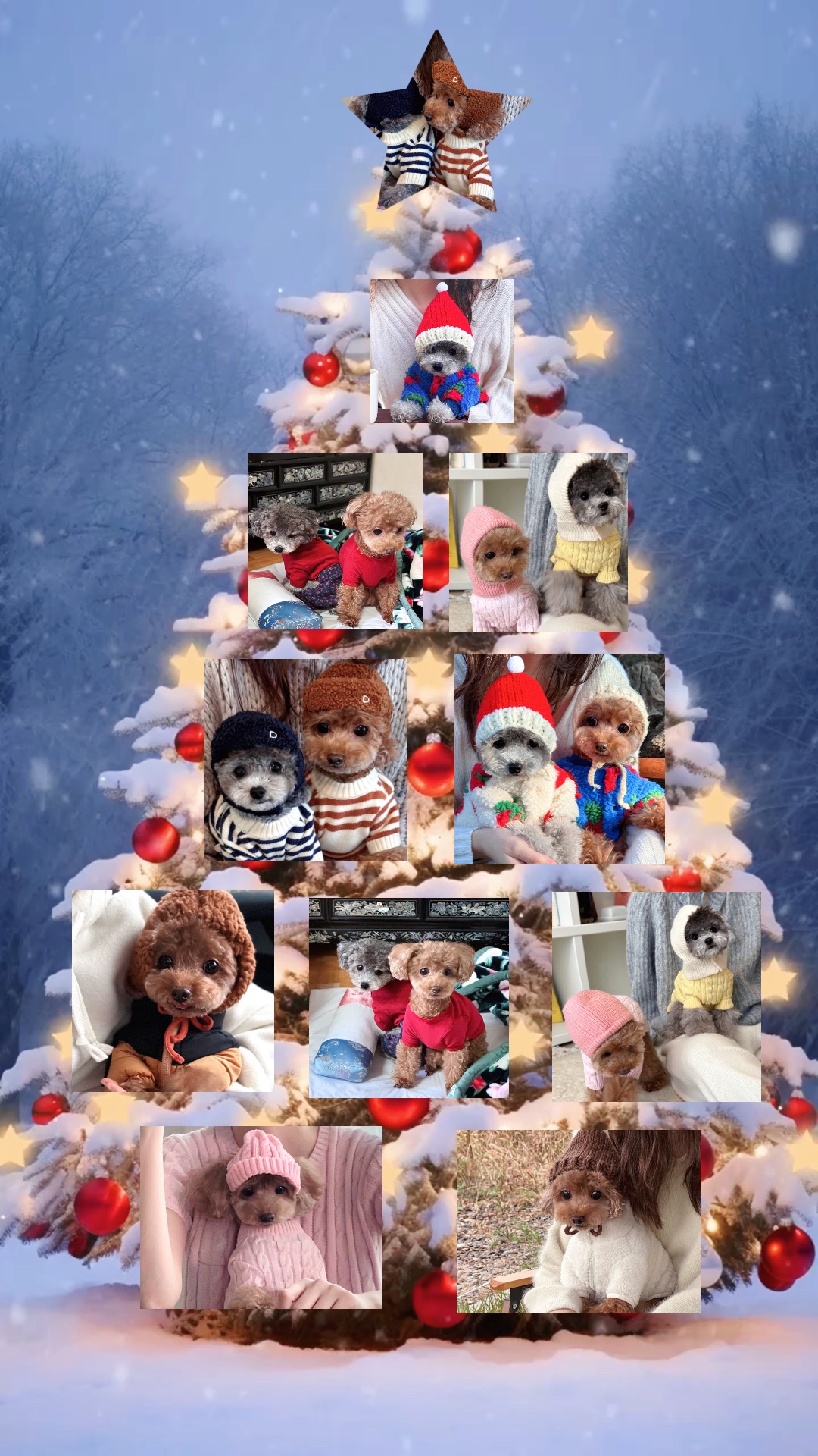 Merry Christmas pets