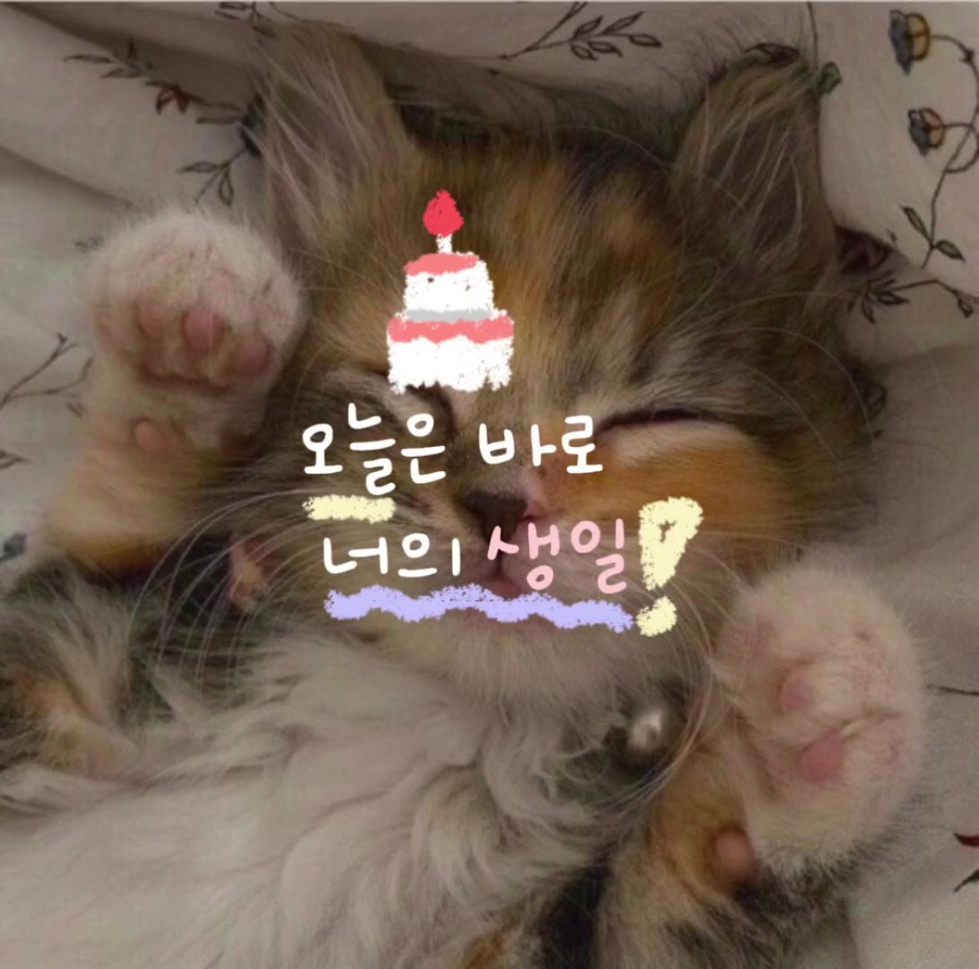 오늘은 바로 너의 생일!