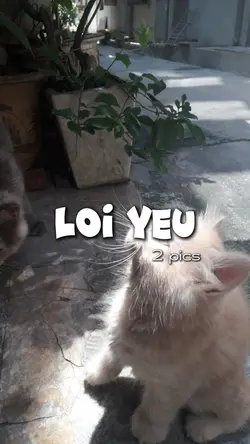 Lời yêu