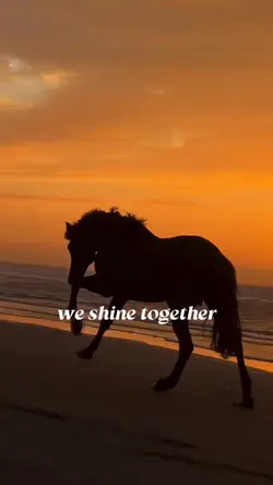 We shine together 