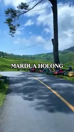 mardua holong