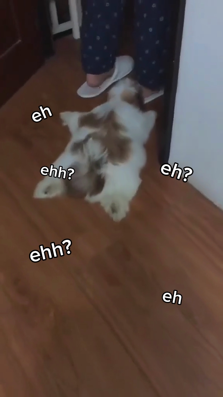 ¿Eh eh? ¿Ehh?