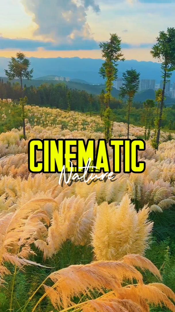 CINEMATIC NATURE