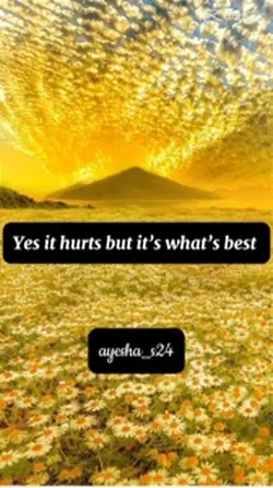 the best option 🥺