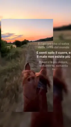 trattieni il bacio