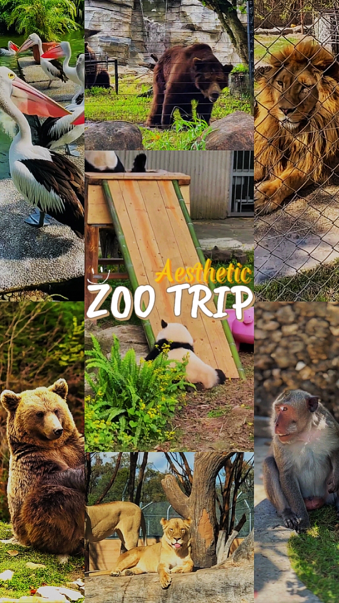 VIAJE AL ZOO