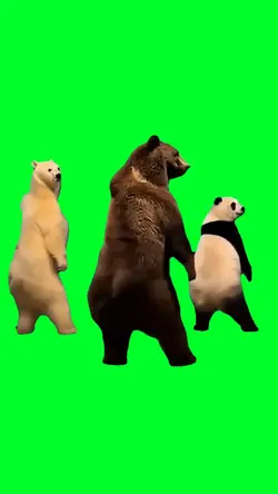 Three bears dancing