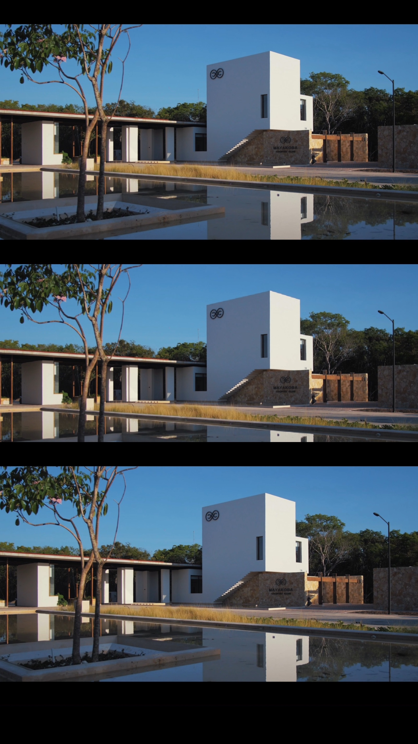 Immobilier 