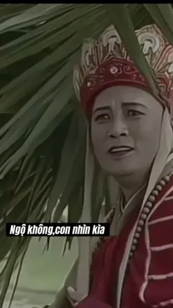 Nhìn kìa