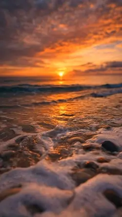 Ocean Reset