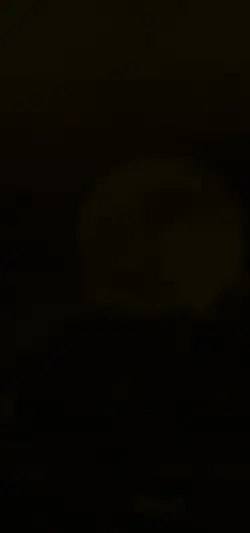 Moonlight 