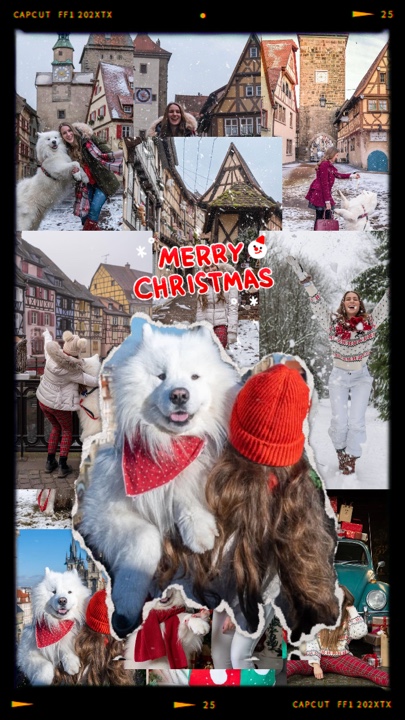 Natal com meu animal de estimação 🎄☃️