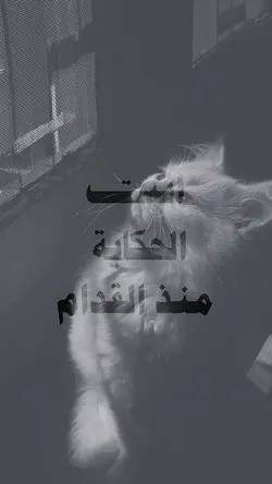 arabic aesthetic