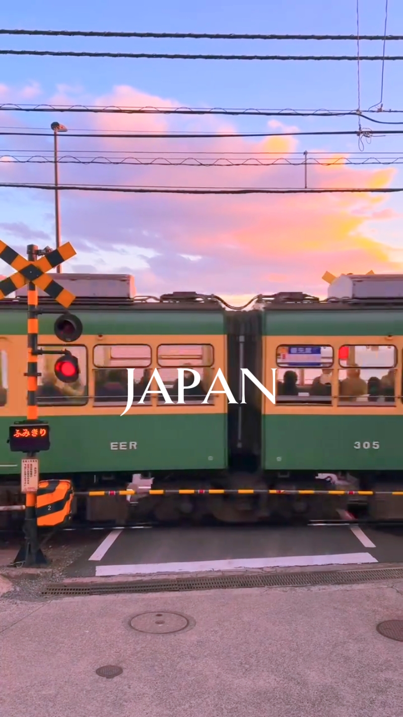 JAPON VIBES