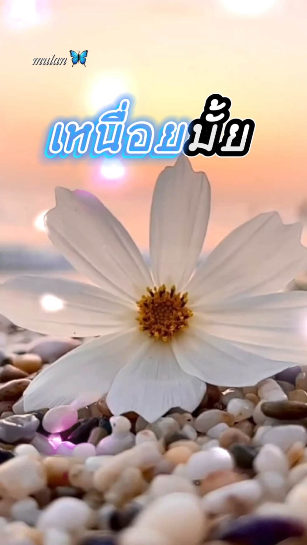 เหนื่อยมั้ย