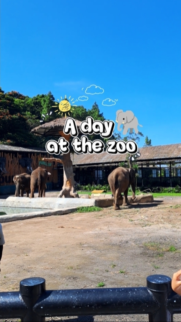 a day at the zoo