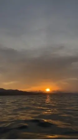 Tatinggal di Papua 