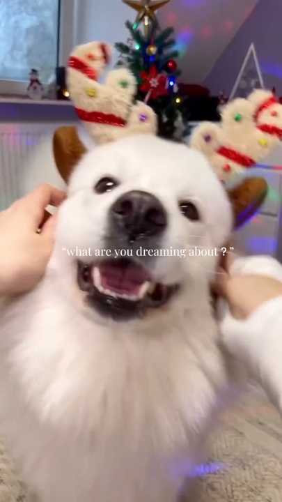 Mascota navideña