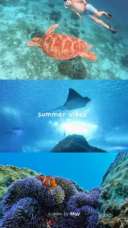 Summer vlog 10 klip