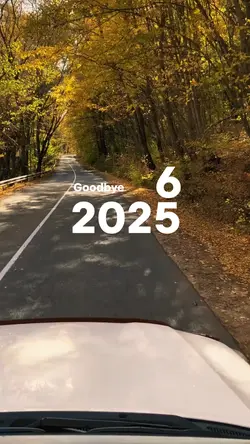 Goodbye 2025