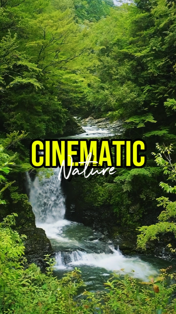 KINEMATISCHE NATUR